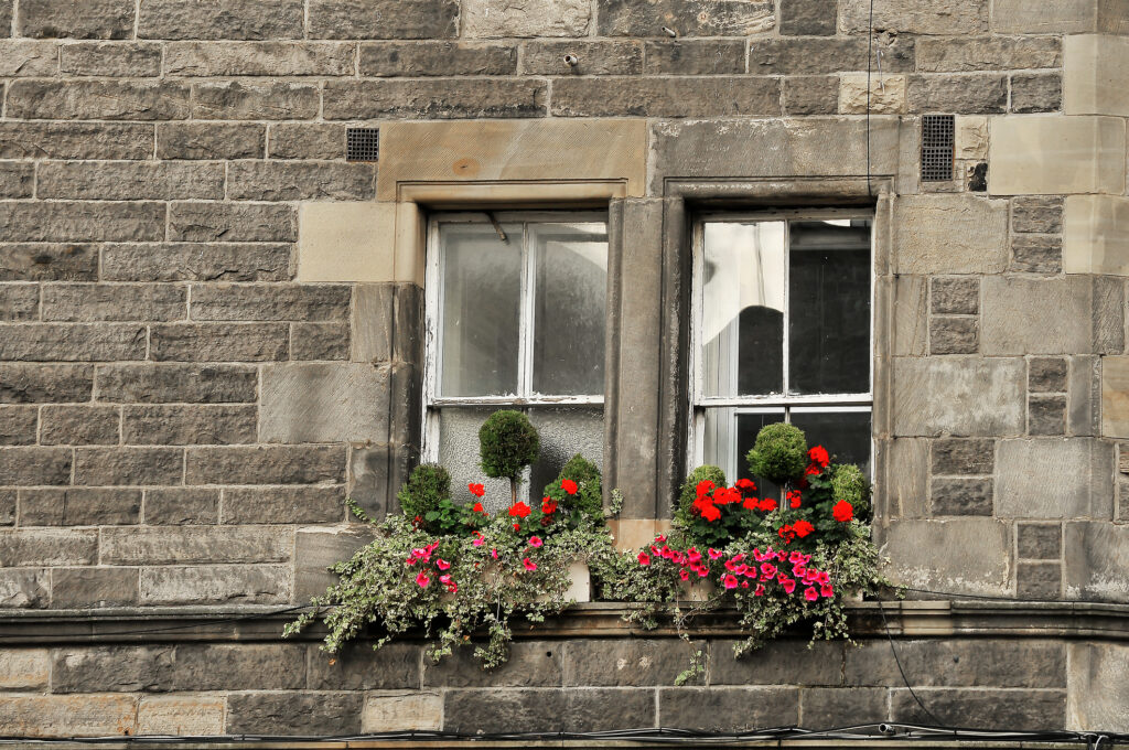 A nicely decorated window of a Scottish property